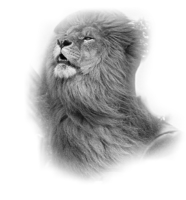 marsmello